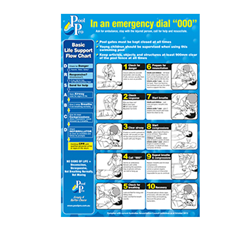 CPR - PVC Resuscitation Sign 410x600mm